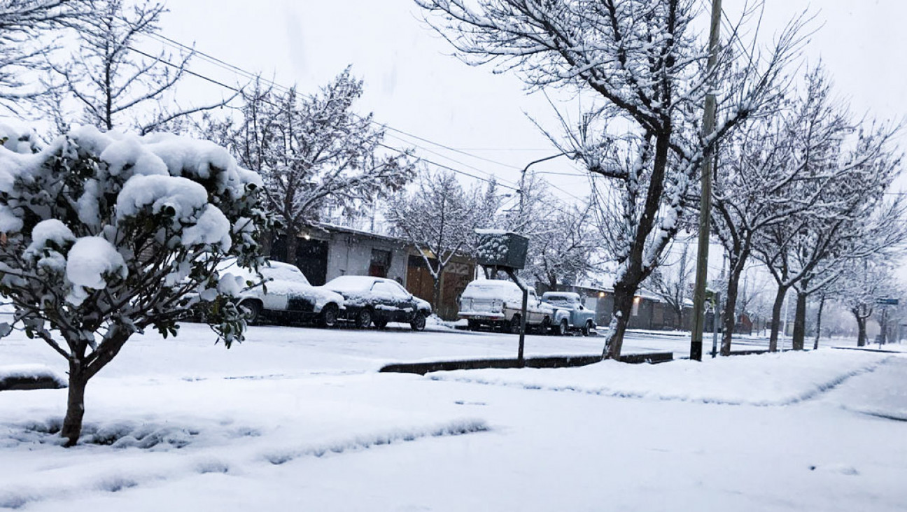 imagen Ola polar: "En la provincia la situación está controlada"