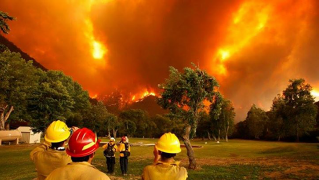 imagen Incendios en Chubut: "es la mano del hombre la que está detrás de los incendios"
