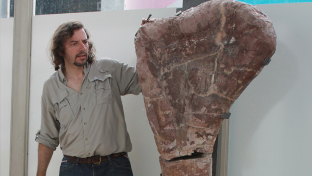 imagen Hallazgo del Notocolossus: "uno de los más más grandes del mundo", afirmó Gonzaelz Riga