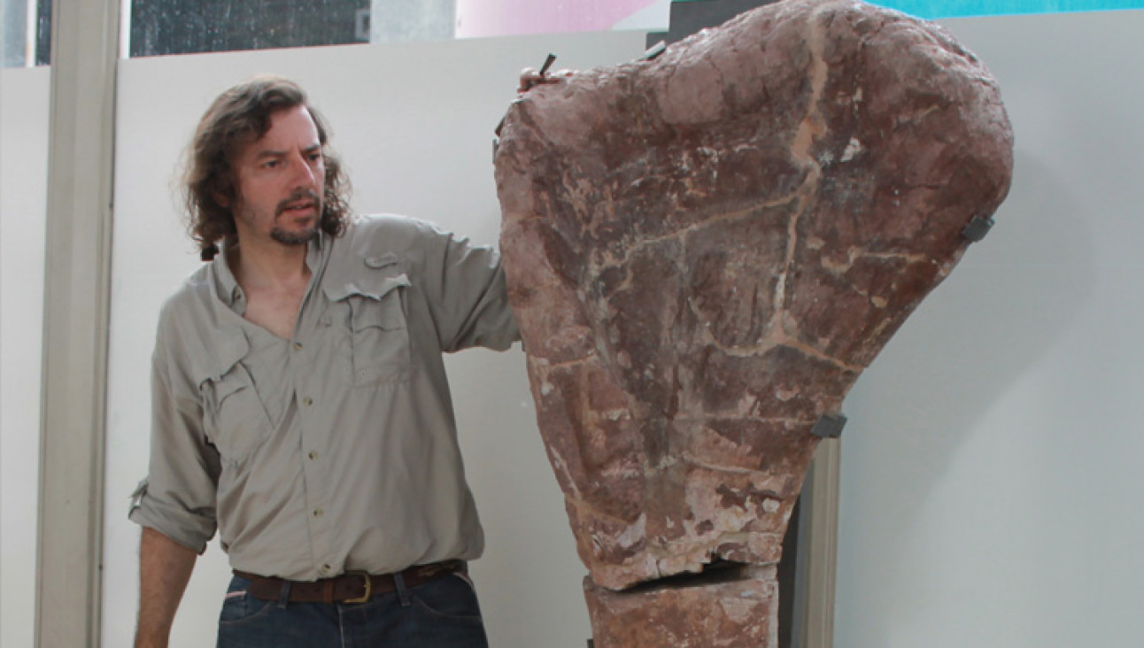 imagen Hallazgo del Notocolossus: "uno de los más más grandes del mundo", afirmó Gonzaelz Riga