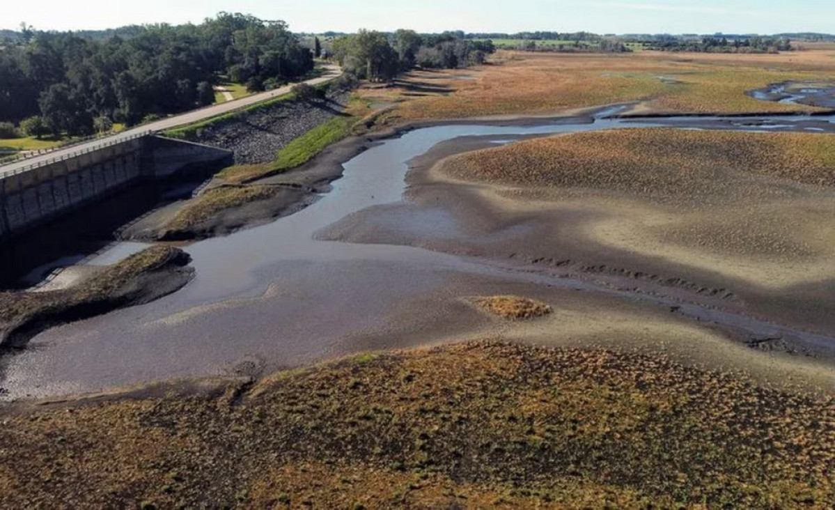 imagen Sequía en Uruguay: quedan solo 10 días de agua potable