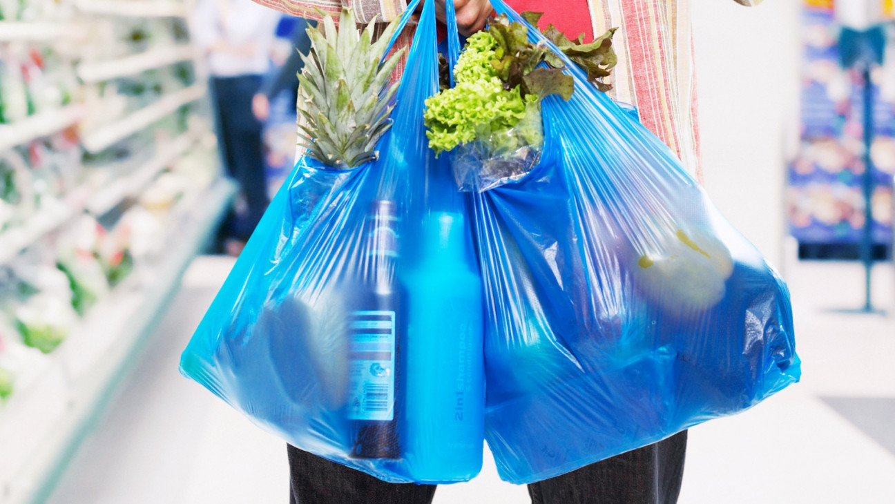 imagen "Apuntamos a eliminar las bolsas de los supermercados en los próximos dos años"