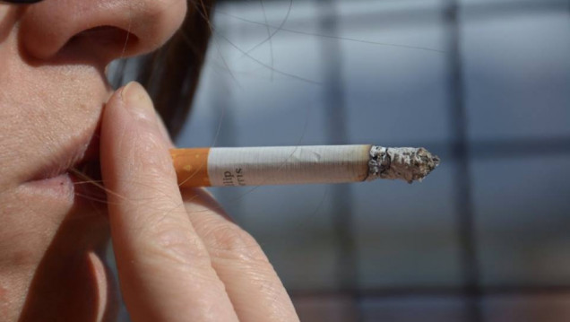 imagen "Es altísima la posibilidad de daño que el cigarrilo puede provocar" 
