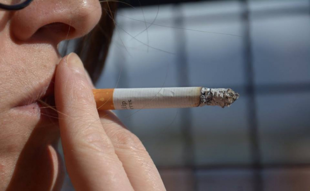 imagen "Es altísima la posibilidad de daño que el cigarrilo puede provocar" 