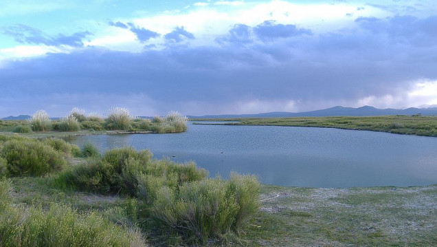 imagen Laguna Llancanelo: "Hay un proceso natural de desecamiento"