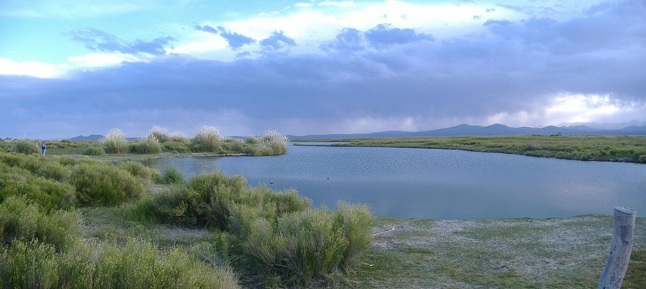 imagen Laguna Llancanelo: "Hay un proceso natural de desecamiento"