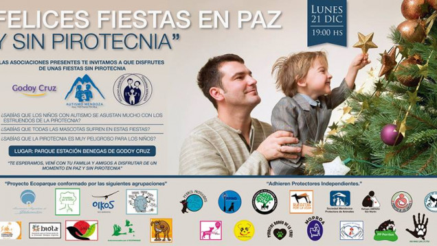 imagen Fiestas de fin de año sin pirotecnia: "con el aprendizaje se va progresando"