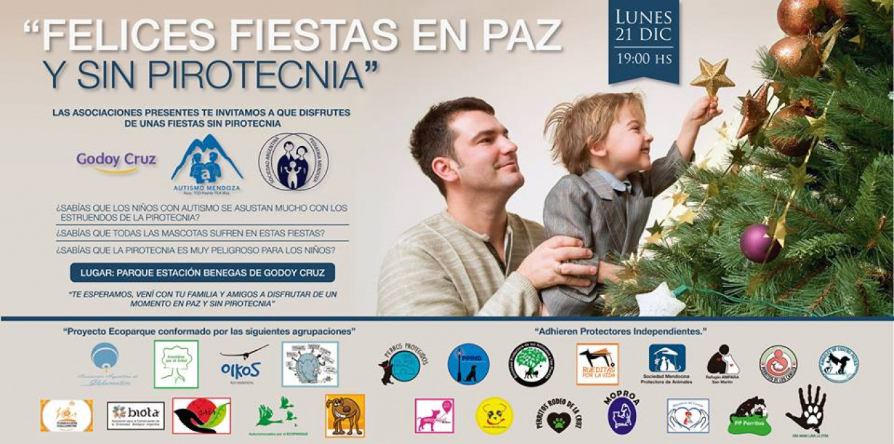imagen Fiestas de fin de año sin pirotecnia: "con el aprendizaje se va progresando"