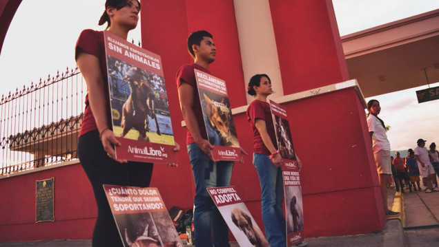 imagen "Hay un gran desconocimiento acerca de los derechos que tienen los animales"