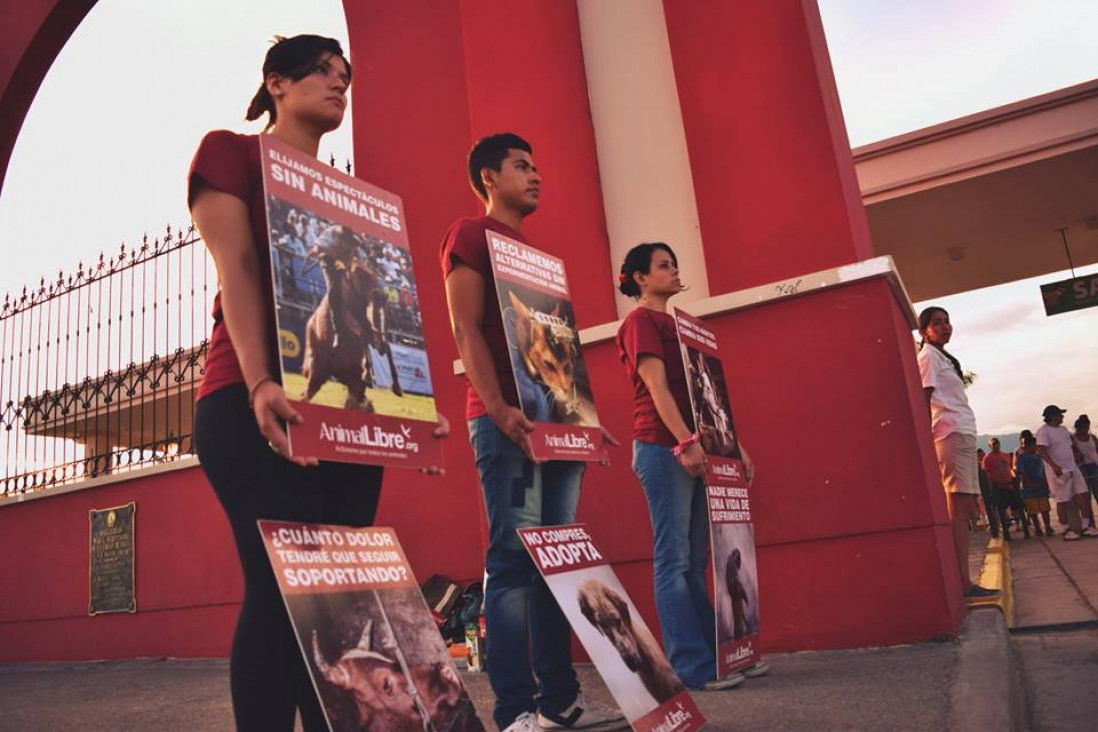 imagen "Hay un gran desconocimiento acerca de los derechos que tienen los animales"