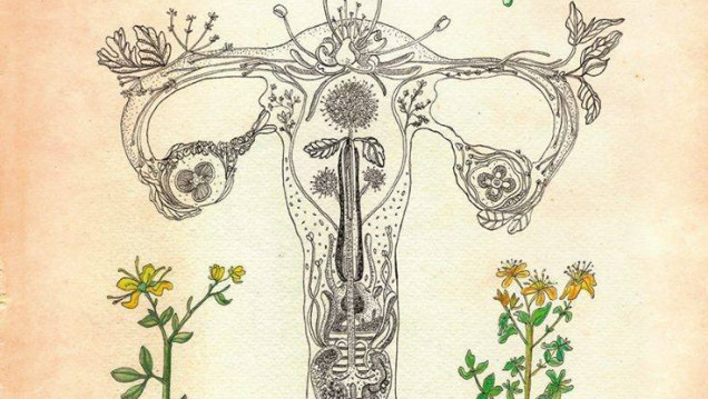 imagen Terapias alternativas: taller de "Ginecología Natural" para aprender a sanar
