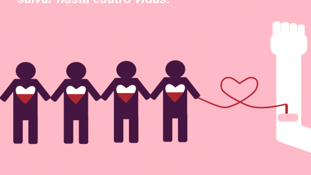 imagen La campaña "Doná sangre, doná vida en la Facu" llega a la UNCuyo