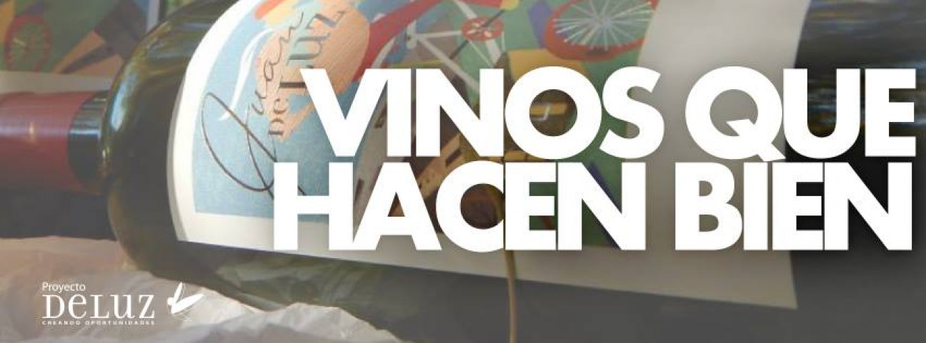 imagen Santiago Clement: "Producimos vinos y destinamos las ganancias a la ayuda de fundaciones"
