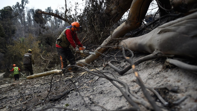 imagen Incendios en Chile: cómo es la situación en Viña del Mar