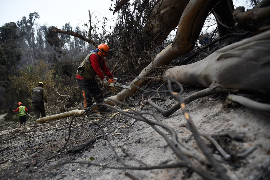 imagen Incendios en Chile: cómo es la situación en Viña del Mar