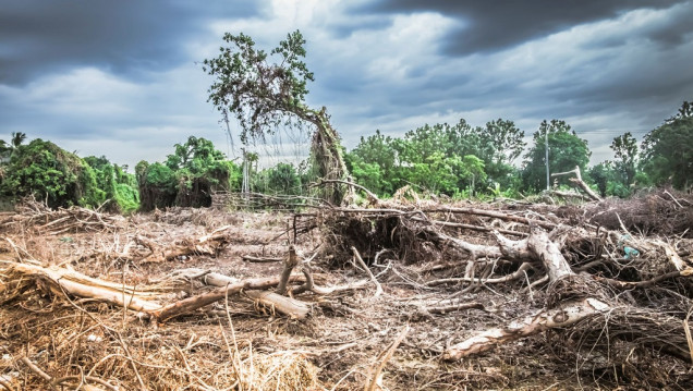 imagen "Tenemos una grave distorsión del uso de los recursos naturales"