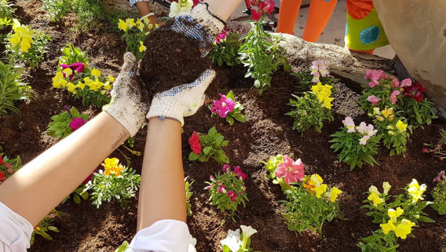 imagen Crear huertas, la nueva iniciativa de Payamédicos para hacer terapia con plantas