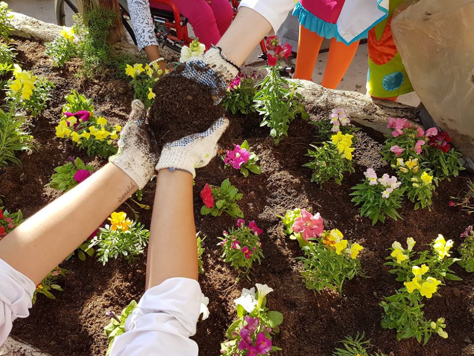 imagen Crear huertas, la nueva iniciativa de Payamédicos para hacer terapia con plantas