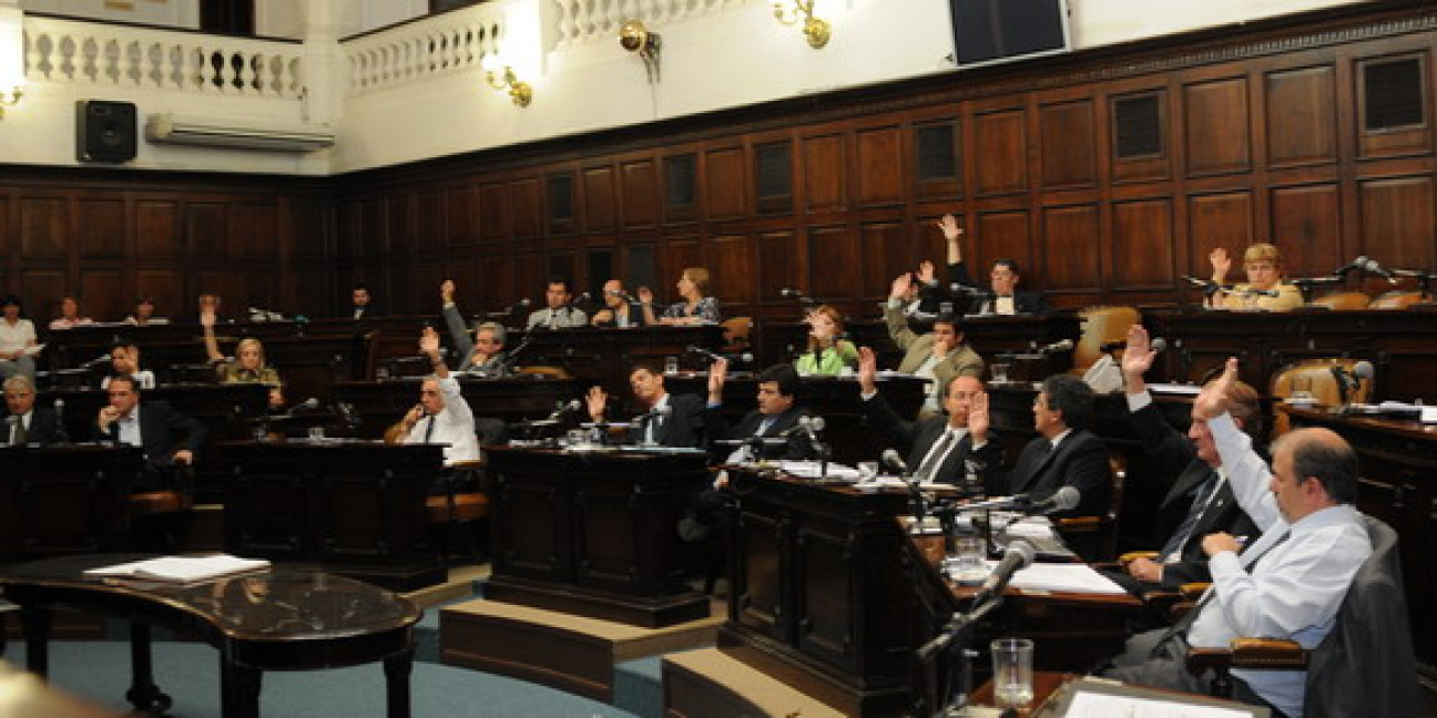 imagen Presentaron un proyecto de ley de licencias para trabajadores estatales víctimas de violencia de género
