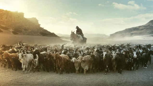 imagen ARREO SE ENTRENA EN EL CINE UNIVERSIDAD 