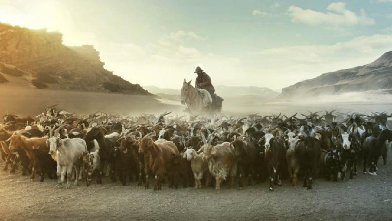 imagen ARREO SE ENTRENA EN EL CINE UNIVERSIDAD 