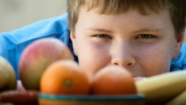 imagen Obesidad infantil: "El bombardeo de publicidad de alimentos no saludables vulnera el derecho a la salud de niños y adolescentes"