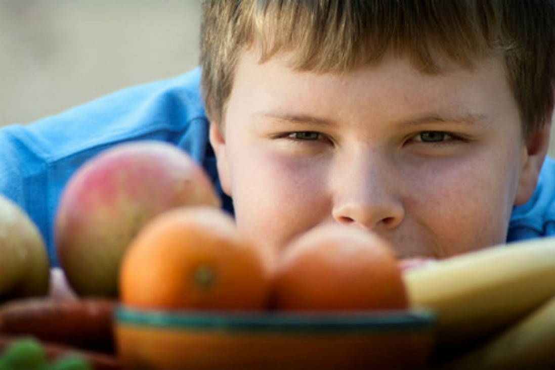 imagen Obesidad infantil: "El bombardeo de publicidad de alimentos no saludables vulnera el derecho a la salud de niños y adolescentes"