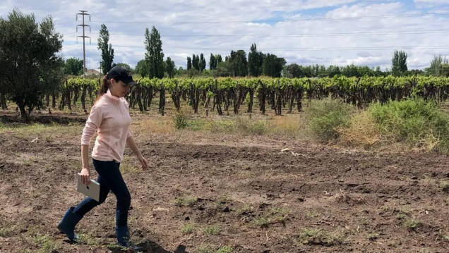 imagen La cruzada de una joven mendocina contra la sequía y el calentamiento global
