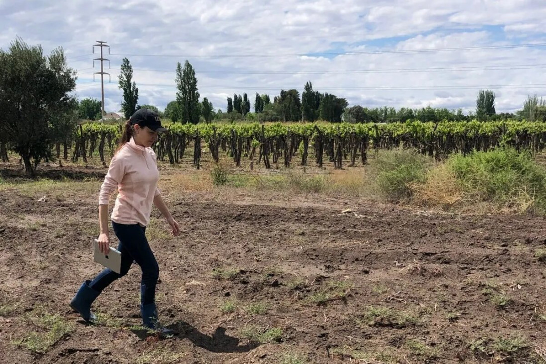 imagen La cruzada de una joven mendocina contra la sequía y el calentamiento global