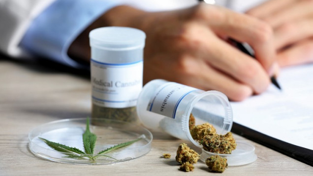 imagen Sagás: "No hay un registro de cuántos pacientes usan aceite de cannabis"