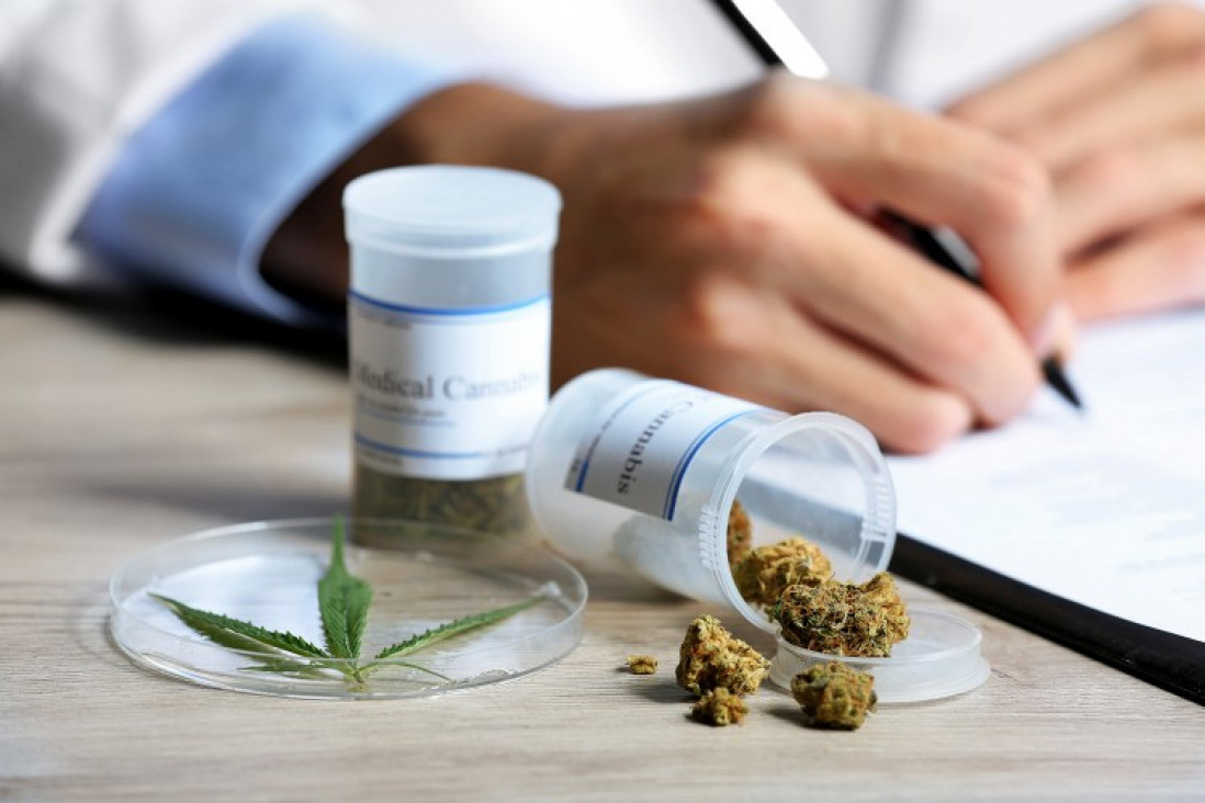 imagen Sagás: "No hay un registro de cuántos pacientes usan aceite de cannabis"