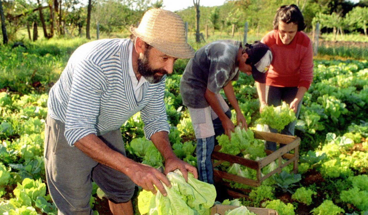 imagen Hoy hay paro nacional en la Secretaría de Agricultura Familiar