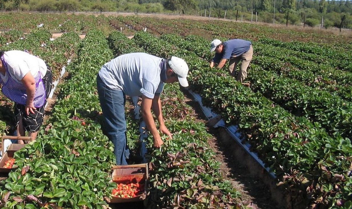 imagen Lanzan el programa Mendoza Activa 4, con la promesa de financiar a nuevos sectores
