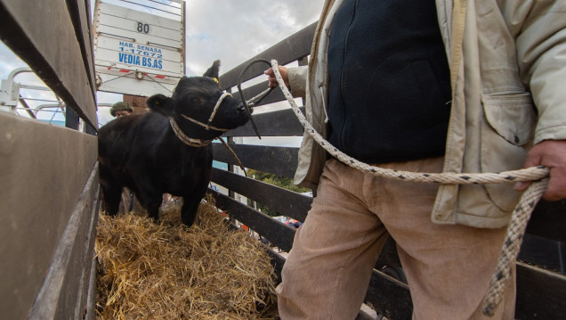 imagen Paro del campo: "Las políticas no favorecen para nada a la producción"