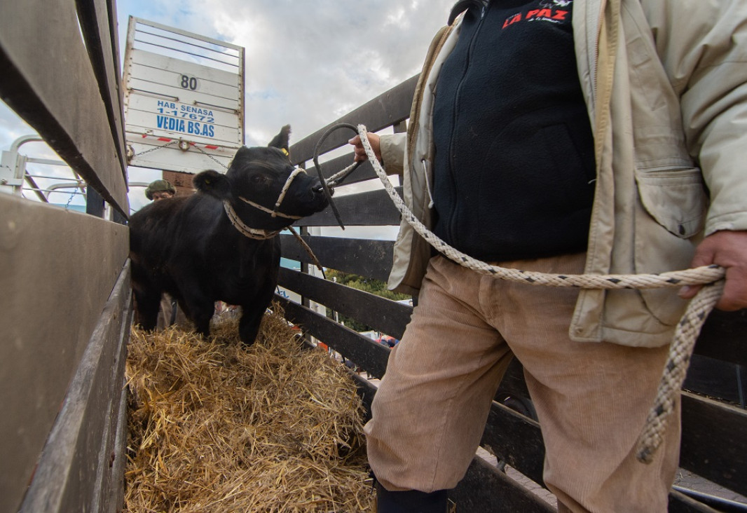 imagen Paro del campo: "Las políticas no favorecen para nada a la producción"