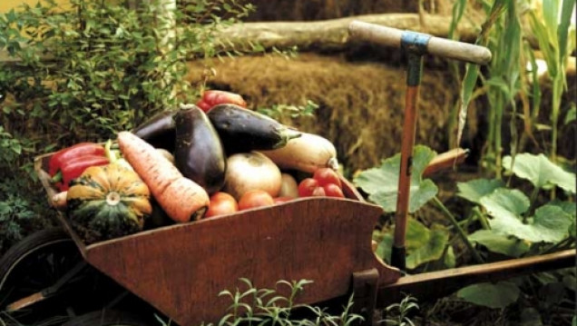 imagen Columna de Ecología en LA POSTA