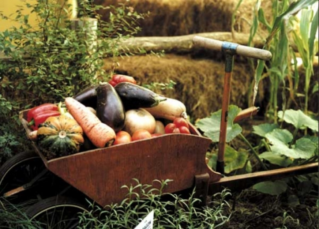 imagen Columna de Ecología en LA POSTA