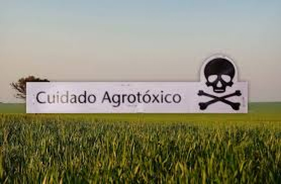imagen Agrotóxicos en Monte Maíz, Córdoba