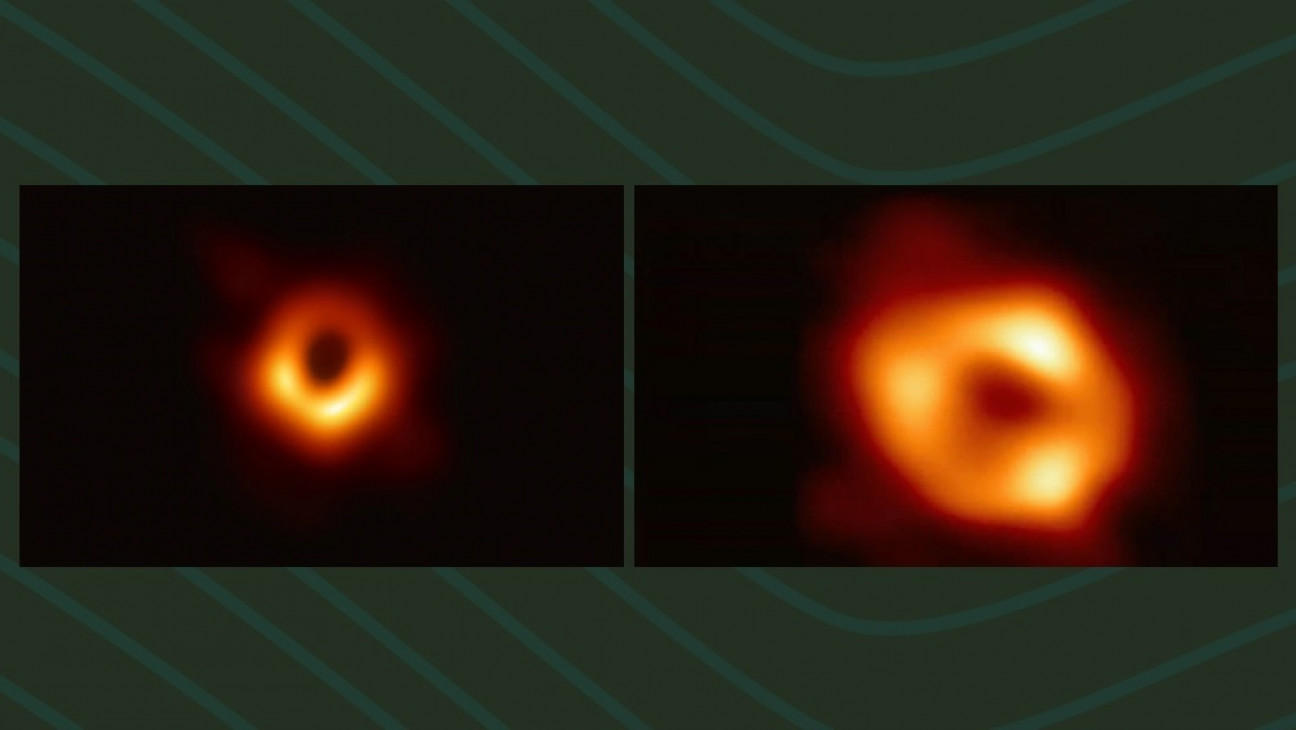 imagen Se acabó el misterio: la ciencia consiguió la foto que faltaba
