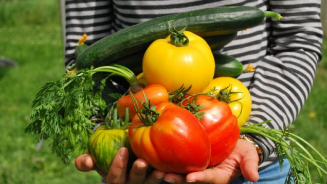 imagen Myriam Gorban: "El alimento no es una mercancía"
