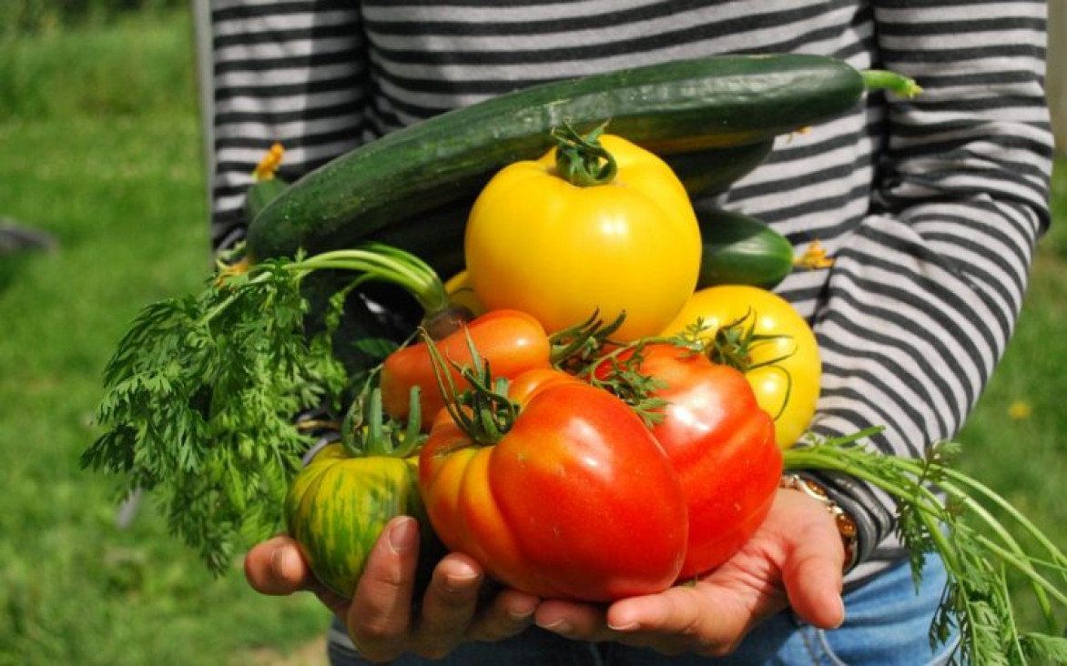 imagen Myriam Gorban: "El alimento no es una mercancía"