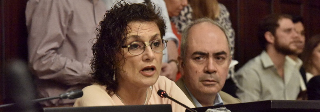 imagen Andía y el Misoprostol: "El objetivo es desalentar el comercio clandestino"