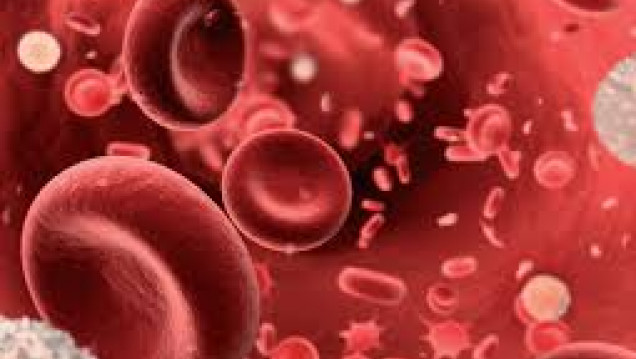 imagen La anemia, síntoma de que algo nos está pasando