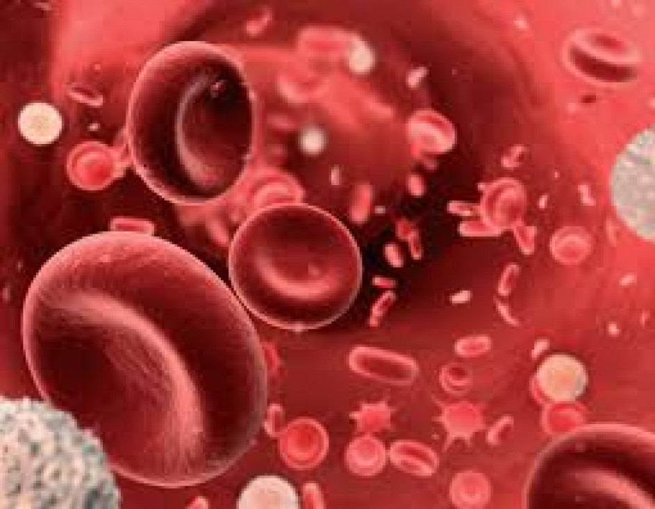 imagen La anemia, síntoma de que algo nos está pasando
