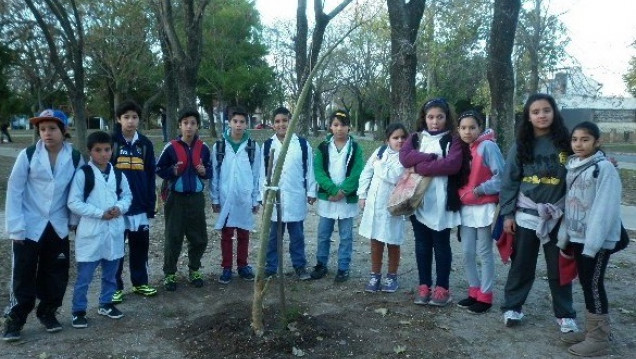 imagen Acciones para incentivar la conciencia ambiental en estudiantes