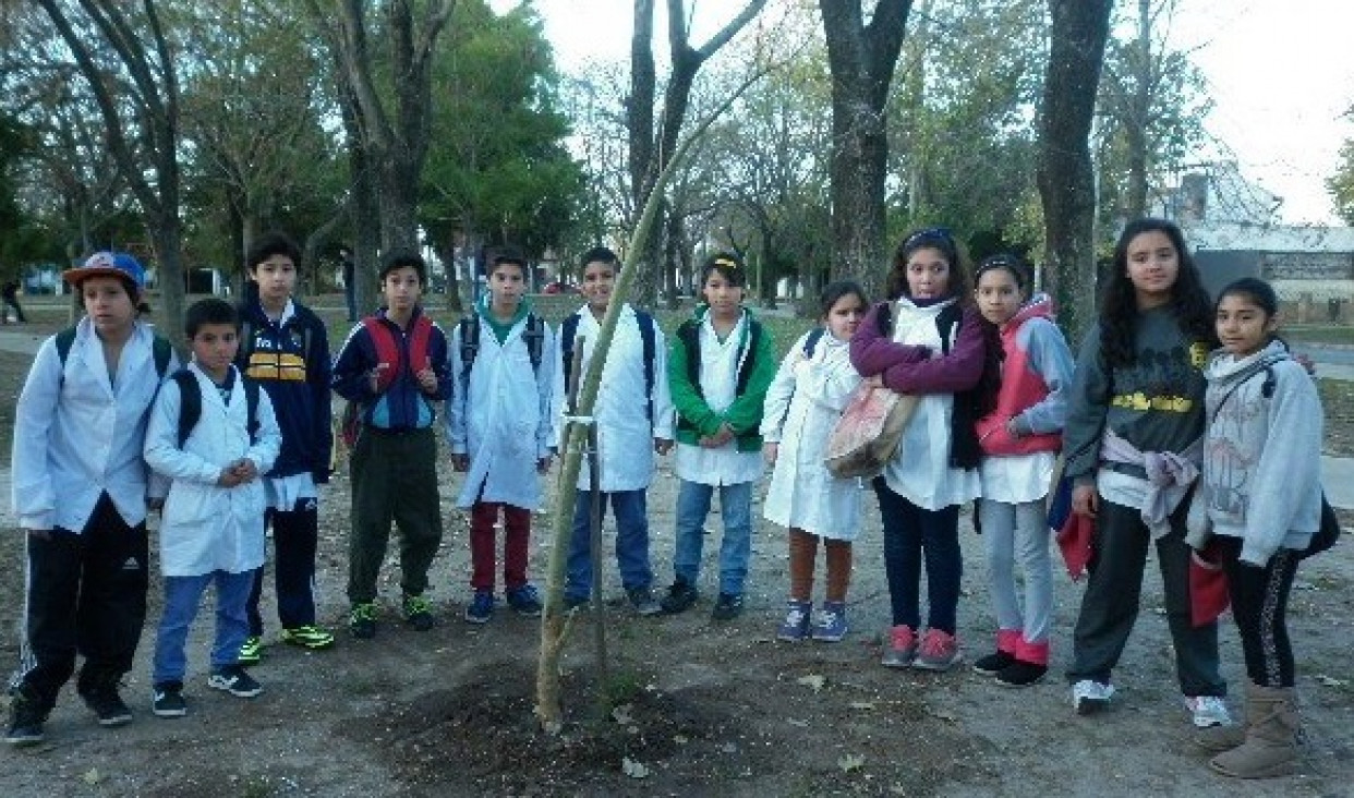 imagen Acciones para incentivar la conciencia ambiental en estudiantes