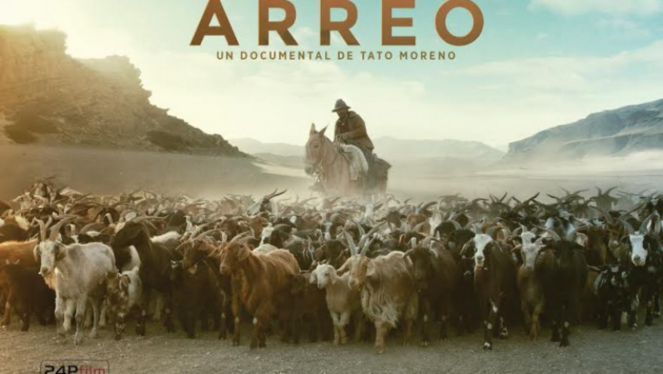 imagen Cine Universidad con el estreno de Arreo y palpitando BAFICI