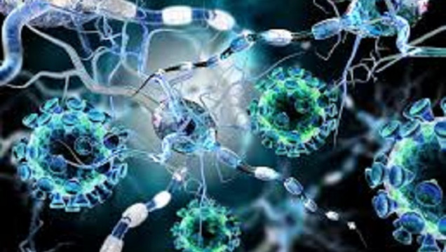imagen Consumo de antibióticos: Argentina vigila las bacterias resistentes