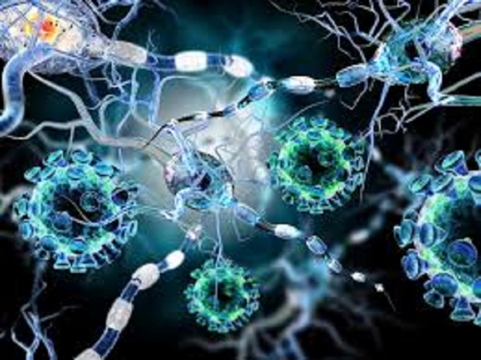 imagen Consumo de antibióticos: Argentina vigila las bacterias resistentes