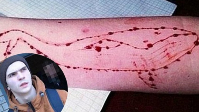 imagen Juego de la ballena azul: "Esto no es una moda, va a empeorar el tejido social"